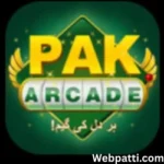 PAK Arcade Game
